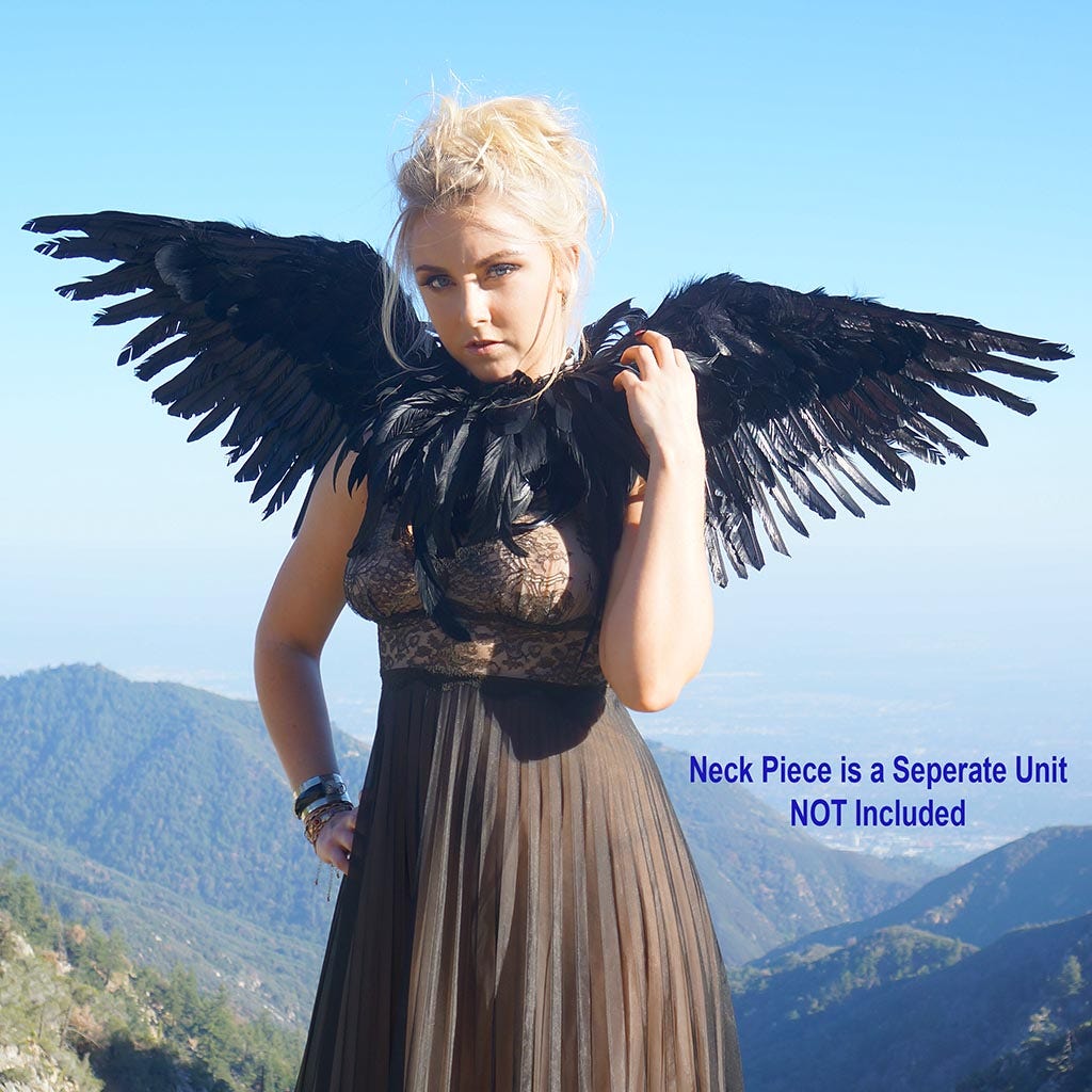 Adult Mockingbird Large Wings Costume - Black Angel Fairy Cosplay Halloween Crow Feather Wing