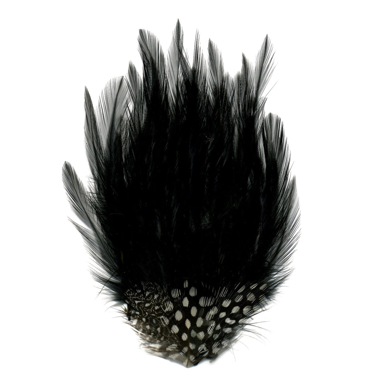 Hackle-Guinea Feather Pad - Black Natural