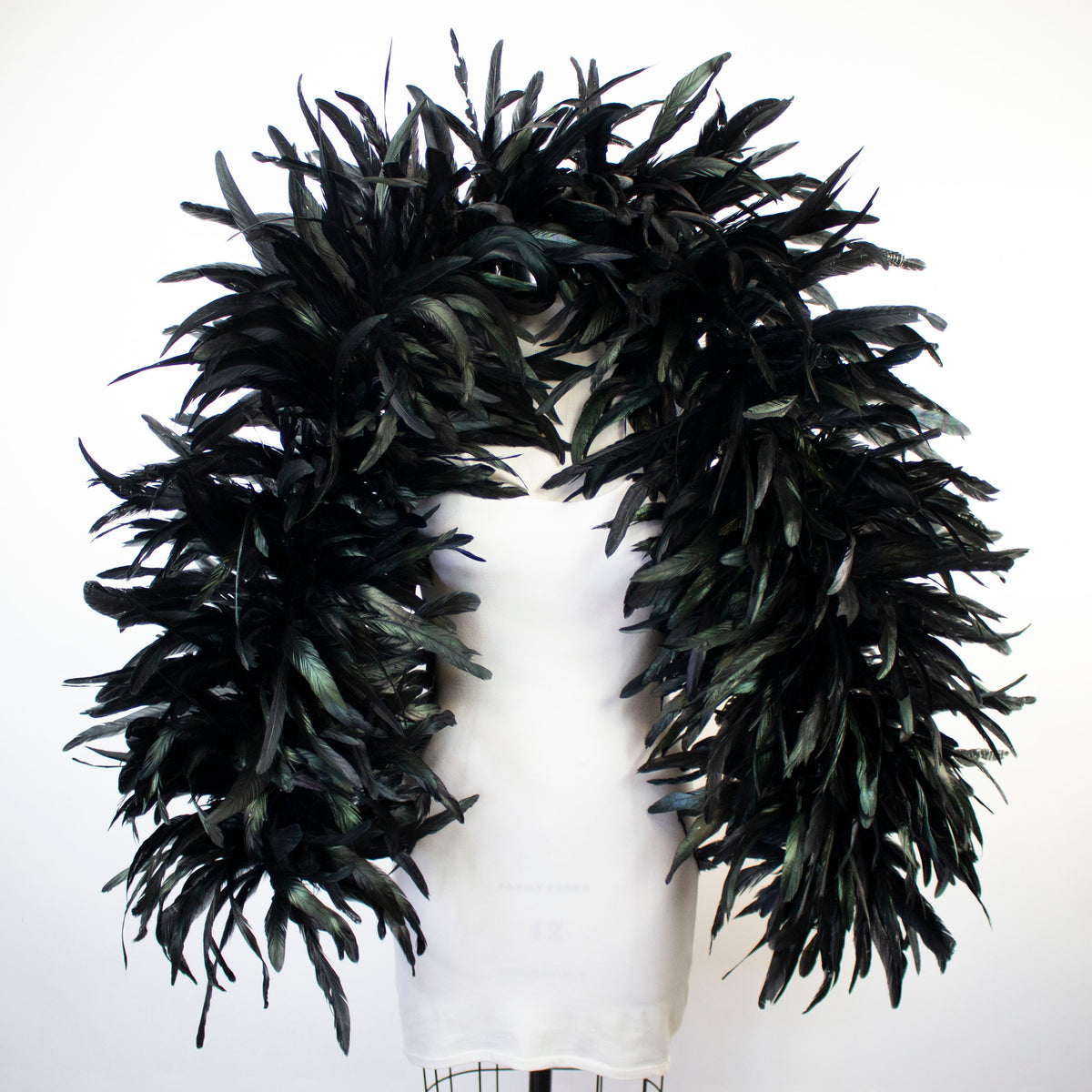 Deluxe Black Coque Tail Feather Boa