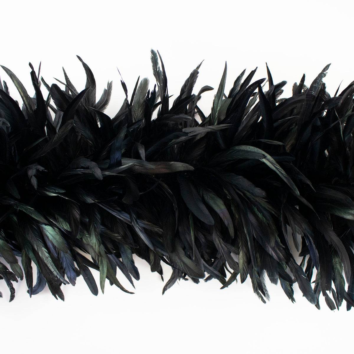 Deluxe Black Coque Tail Feather Boa