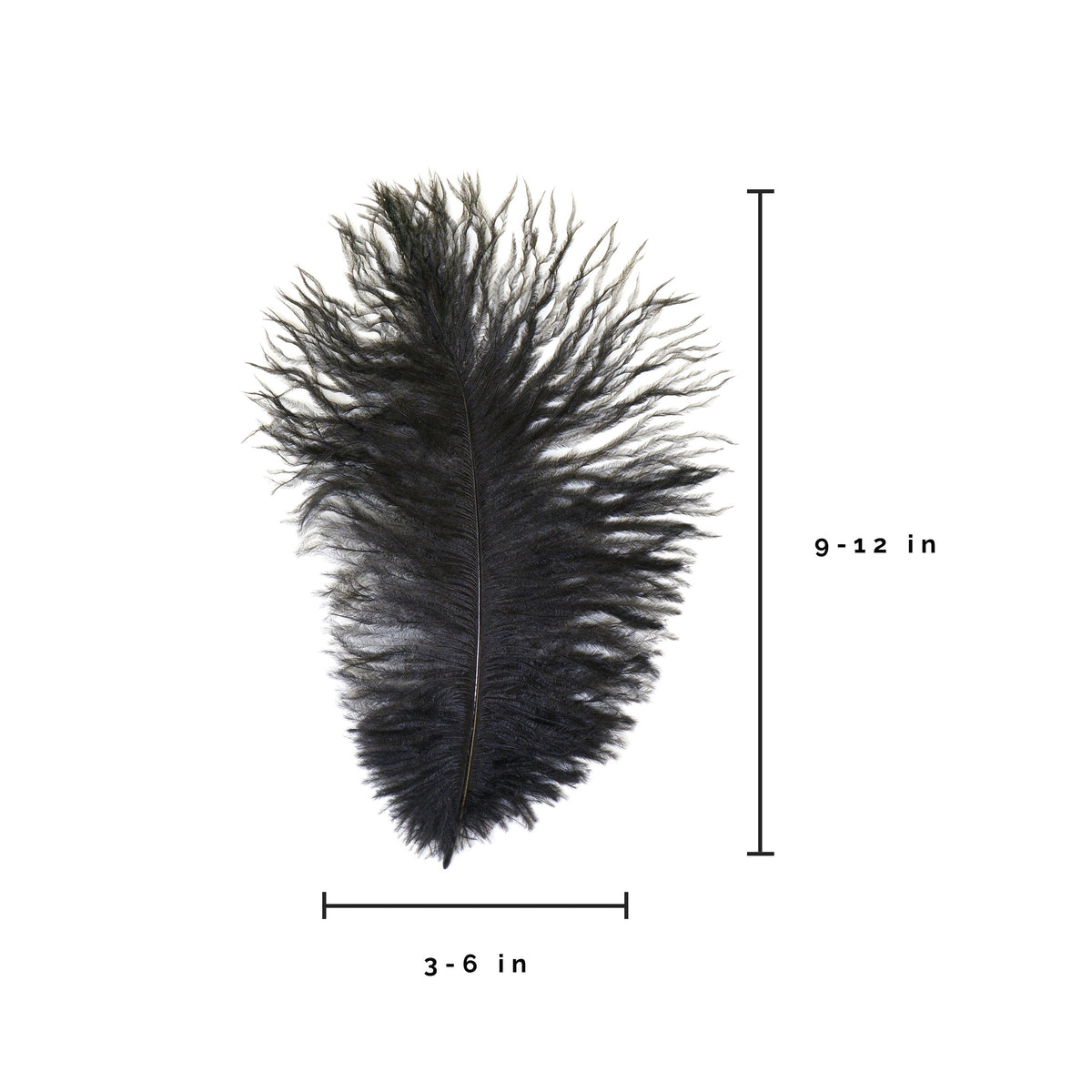 Ostrich Feathers 9-12" Drabs -  Black