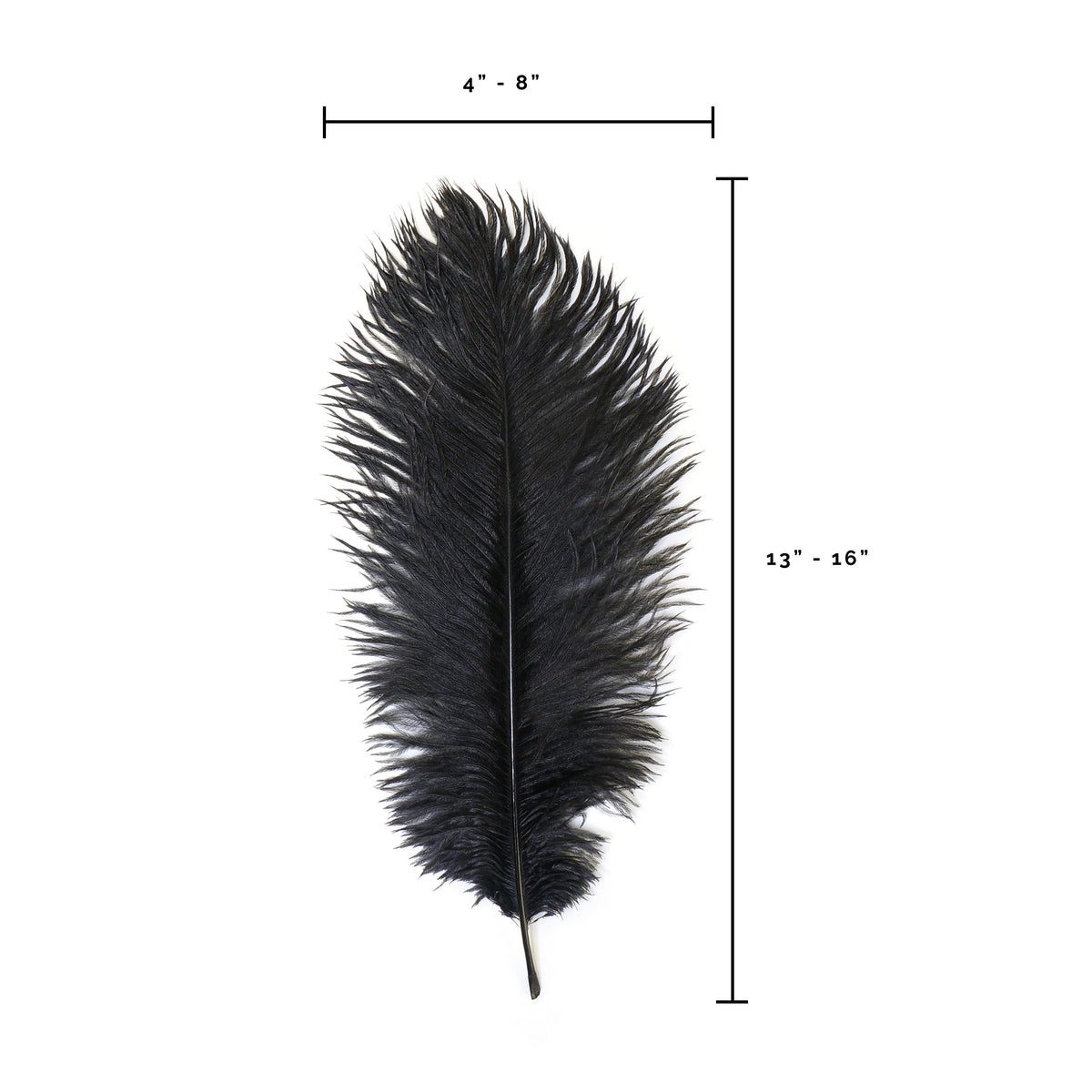 Ostrich Feathers 13-16" Drabs - Black
