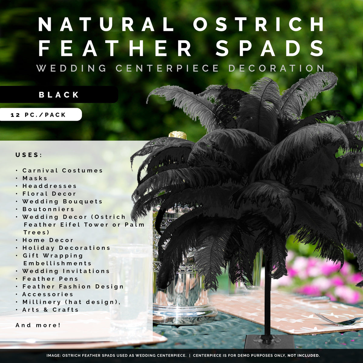 Large Ostrich Feathers - 18-24" Spads - Black