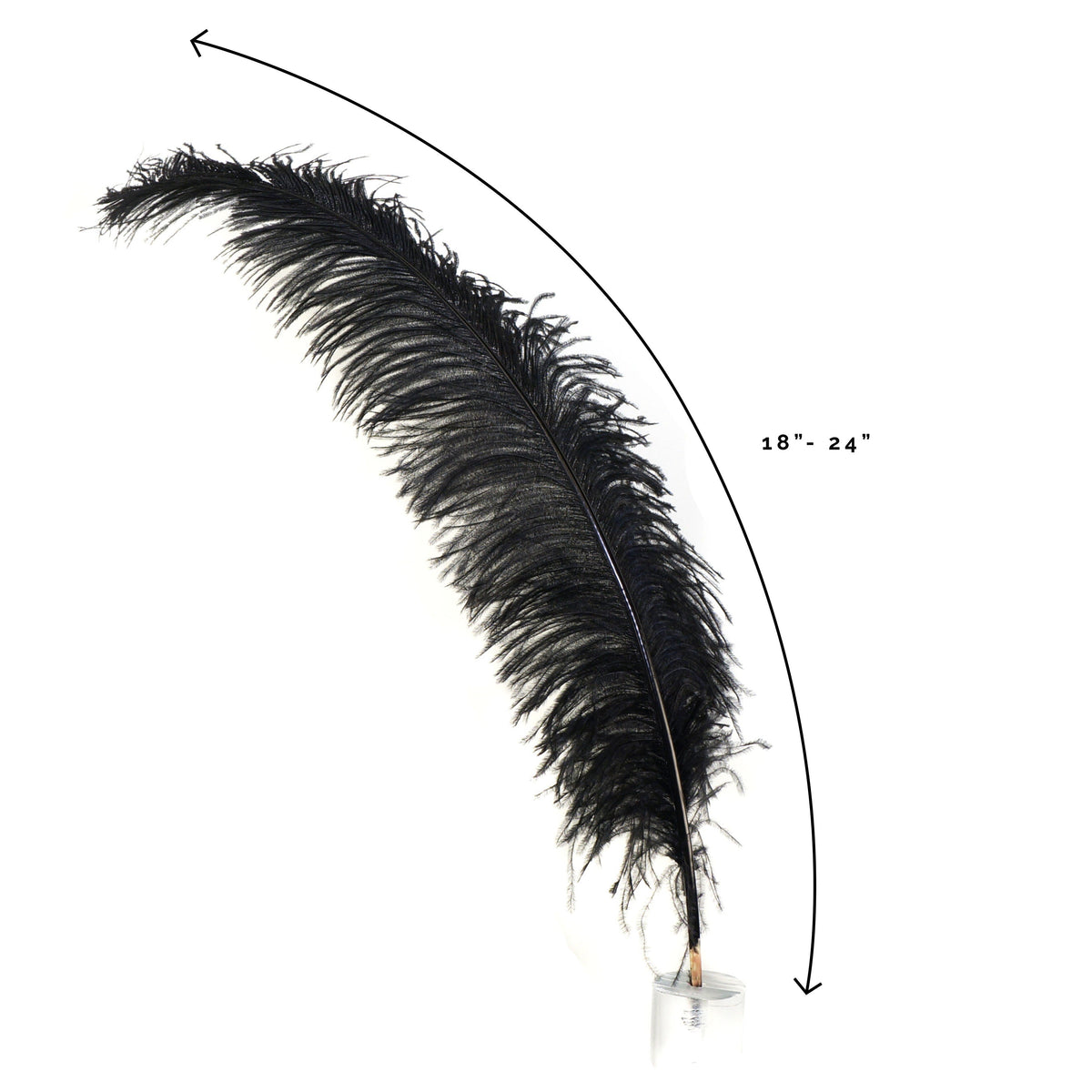 Large Ostrich Feathers - 18-24" Spads - Black