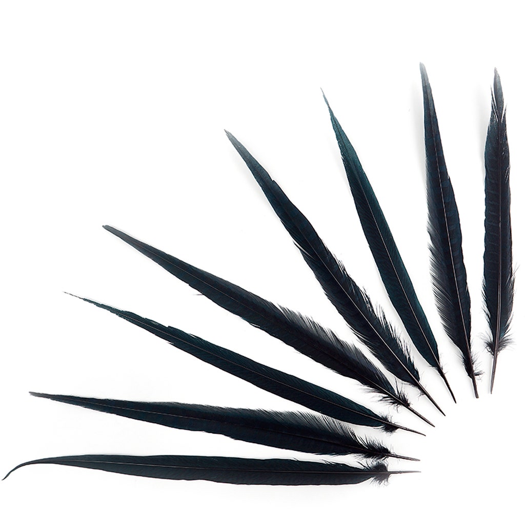 Bulk Assorted Pheasant Tails Dyed - Black