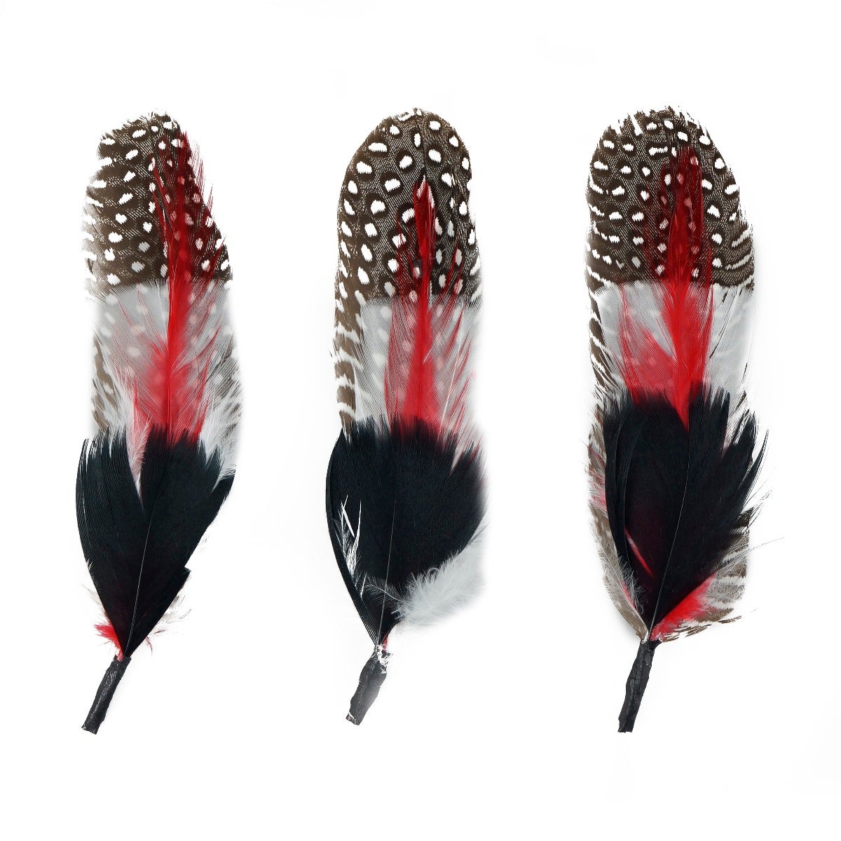 Guinea Rooster Turkey Feather Hat Trims - Black - Red - White - Natural