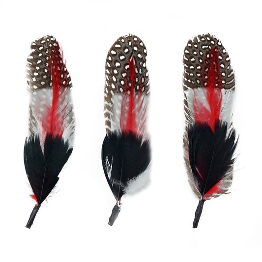 Guinea Rooster Turkey Feather Hat Trims - Black - Red - White - Natural