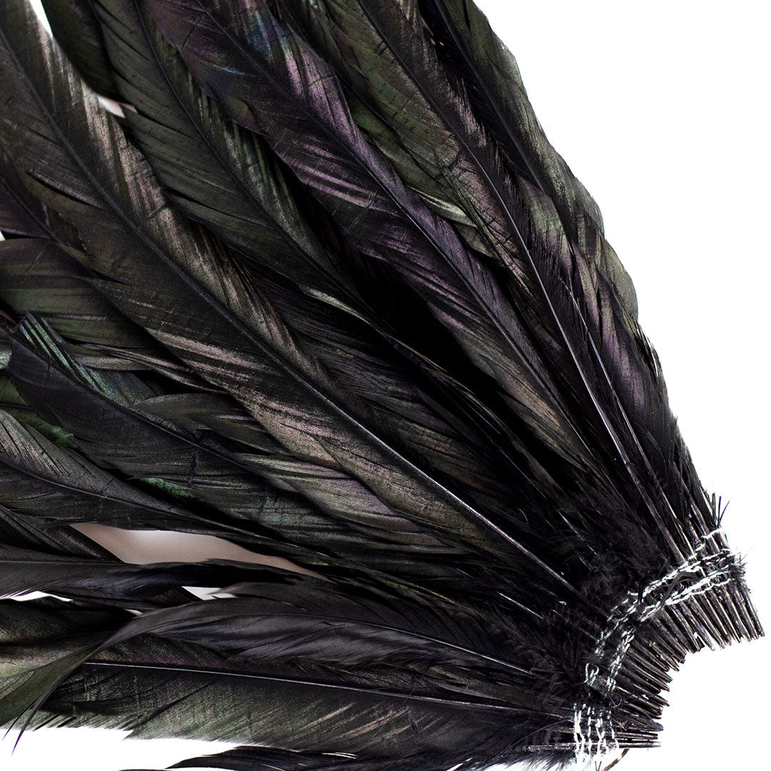 Loose Rooster Coque Tails 15-18" - 25 pcs - Black