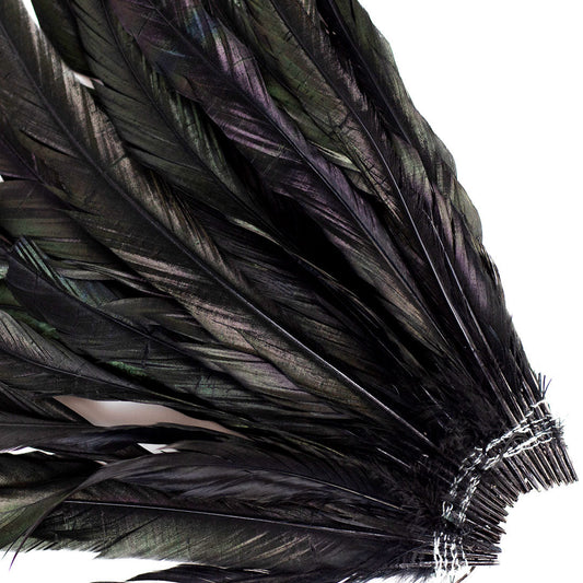 Loose Rooster Coque Tails 15-18" - 25 pcs - Black