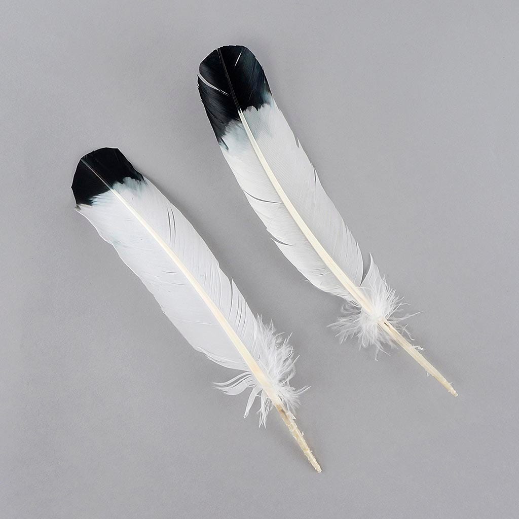 2 PC PKG Turkey Quills Imitation Eagle 10-12" - Black