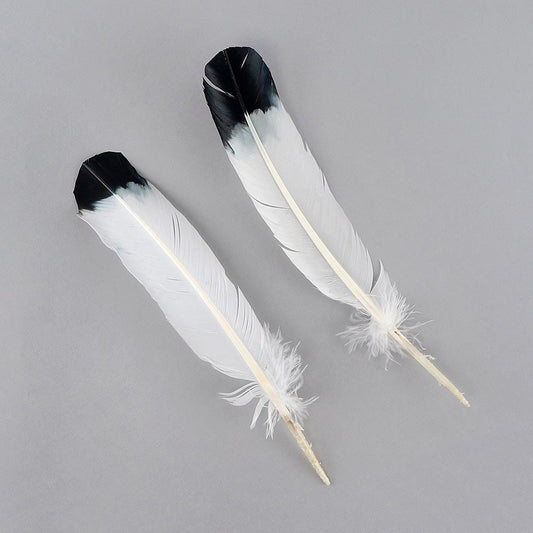 2 PC PKG Turkey Quills Imitation Eagle 10-12" - Black