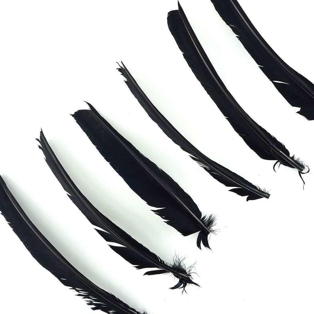 Bulk Turkey Pointers Left Wing 1/4 LB - Black