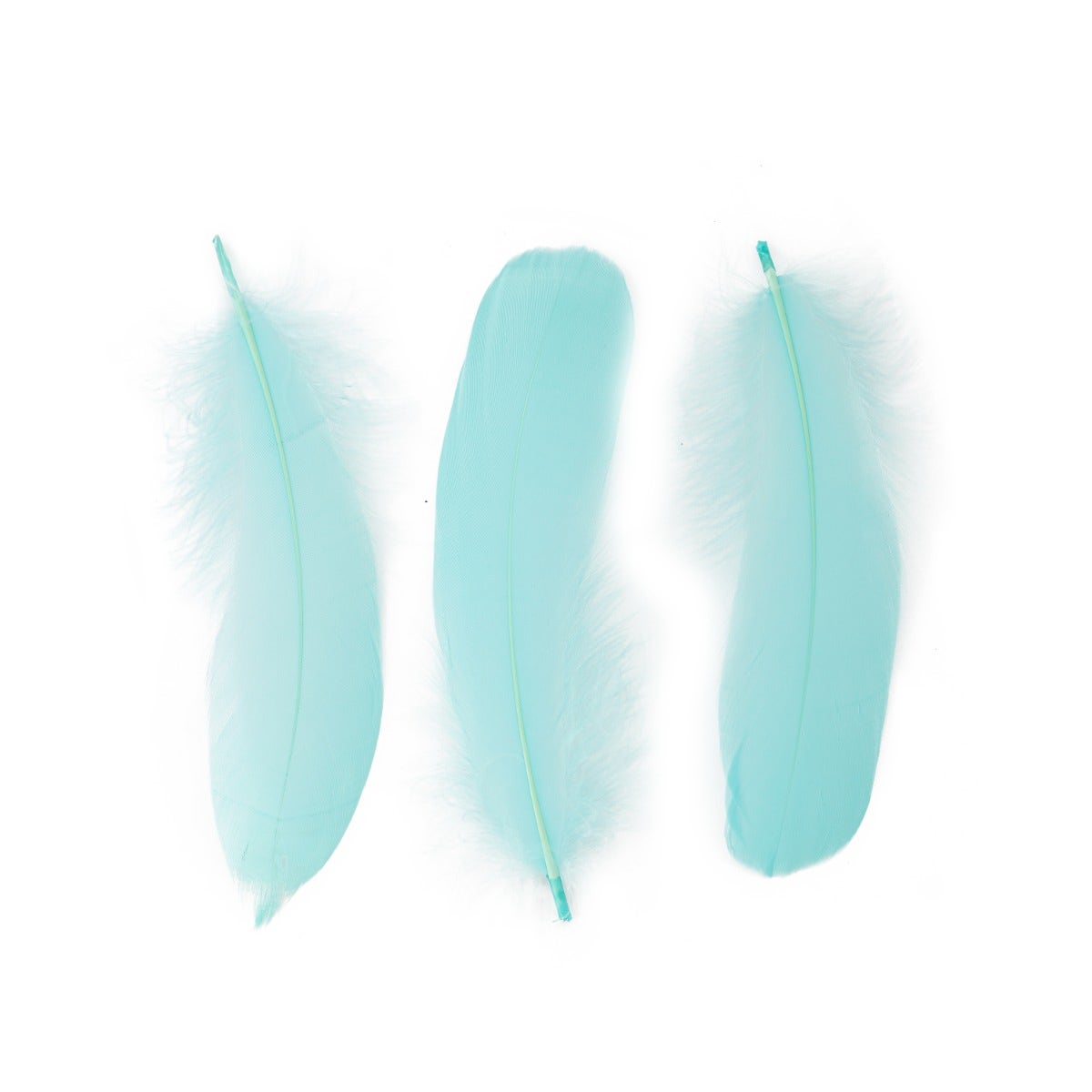 Goose Pallet Feathers 6-8" - 12 pc - Mint