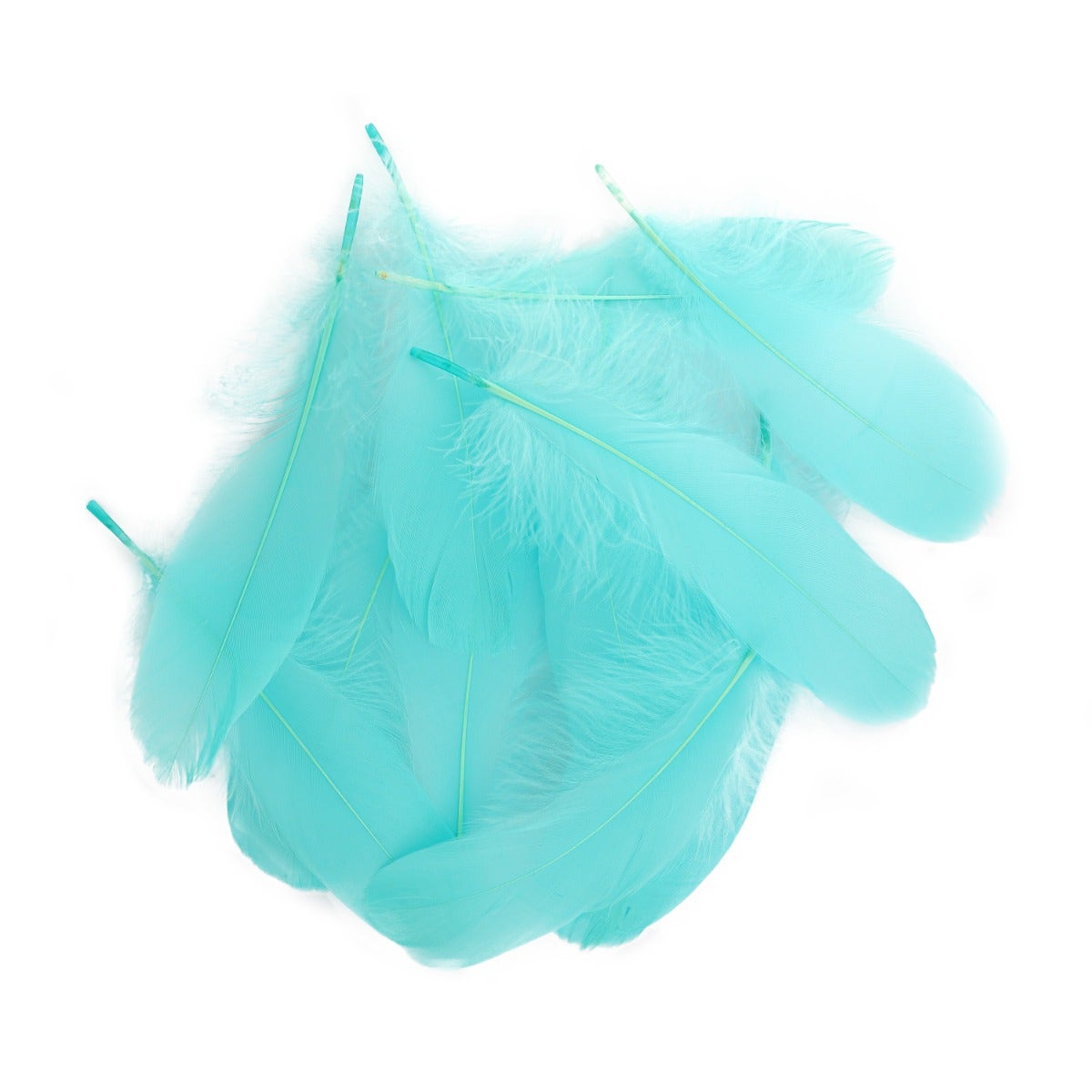 Goose Pallet Feathers 6-8" - 12 pc - Mint