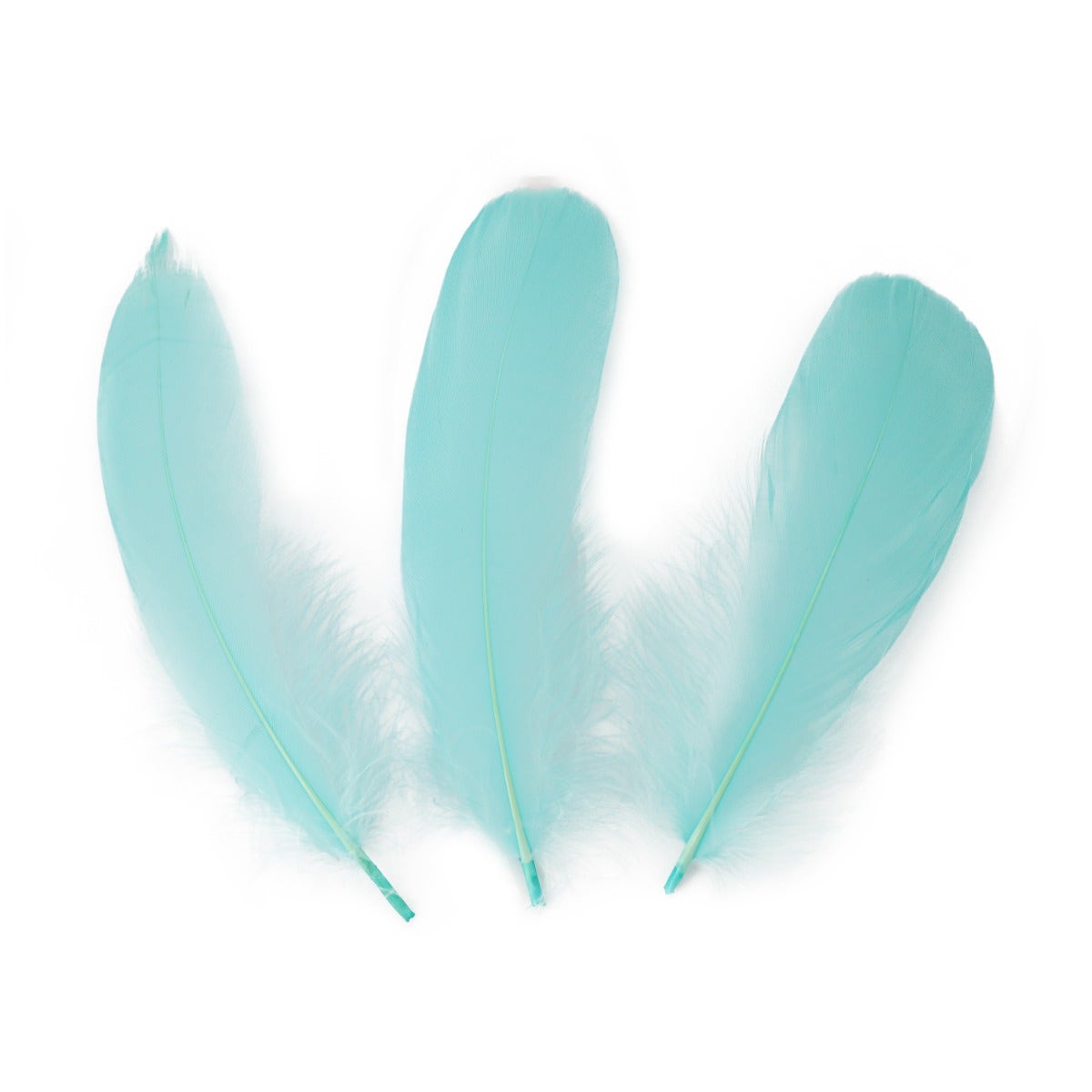 Goose Pallet Feathers 6-8" - 12 pc - Mint