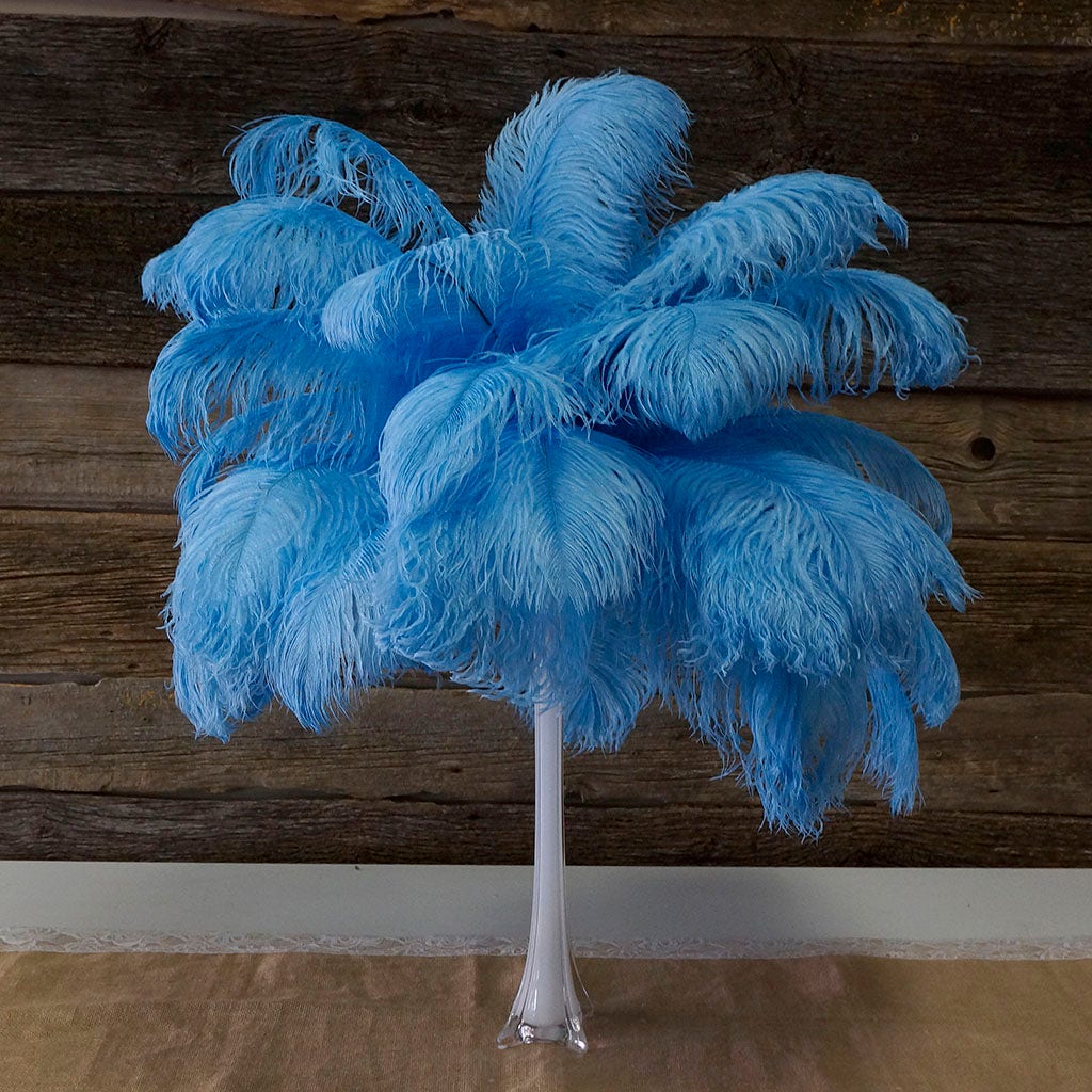 Large Ostrich Feathers - 17"+ Drabs - Sky