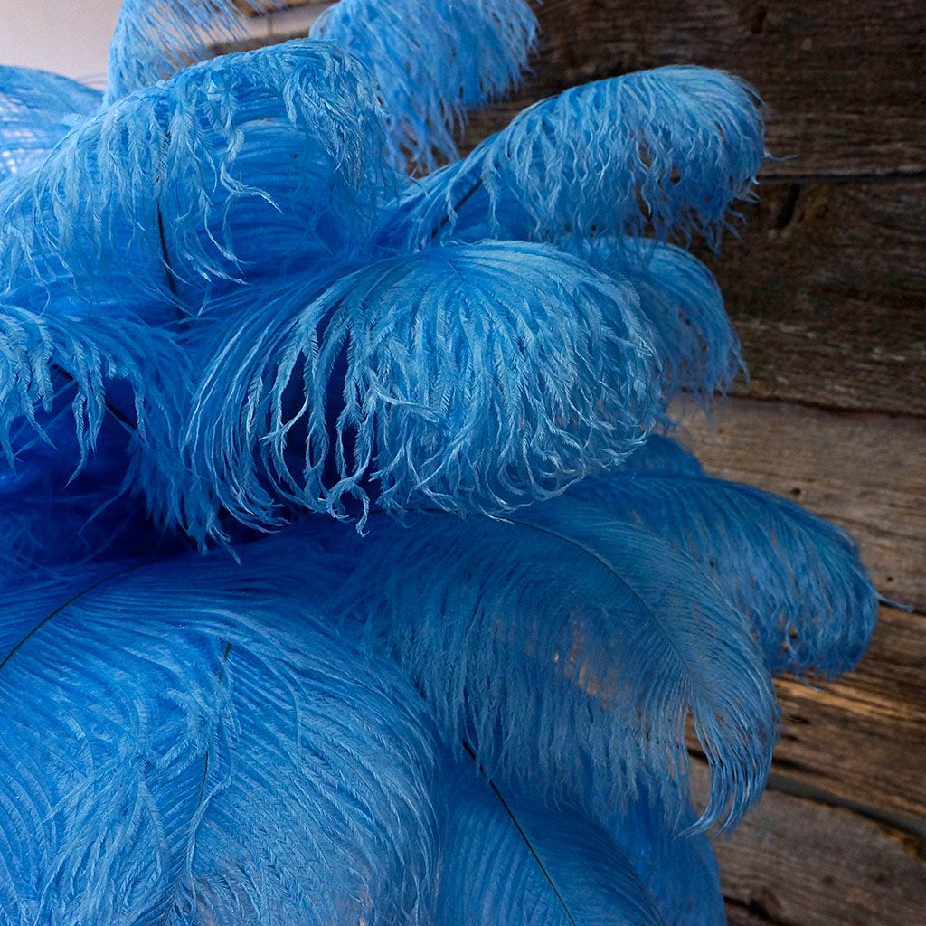 Large Ostrich Feathers - 17"+ Drabs - Sky