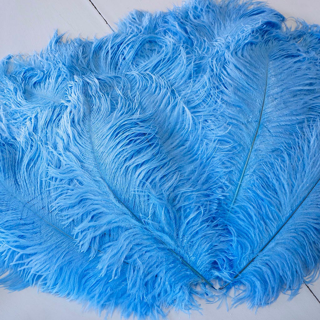 Large Ostrich Feathers - 17"+ Drabs - Sky