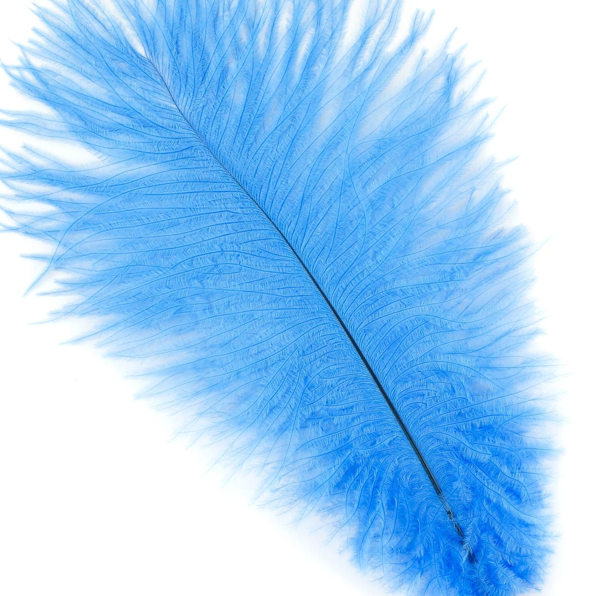 Ostrich Feathers 9-12" Drabs - Sky