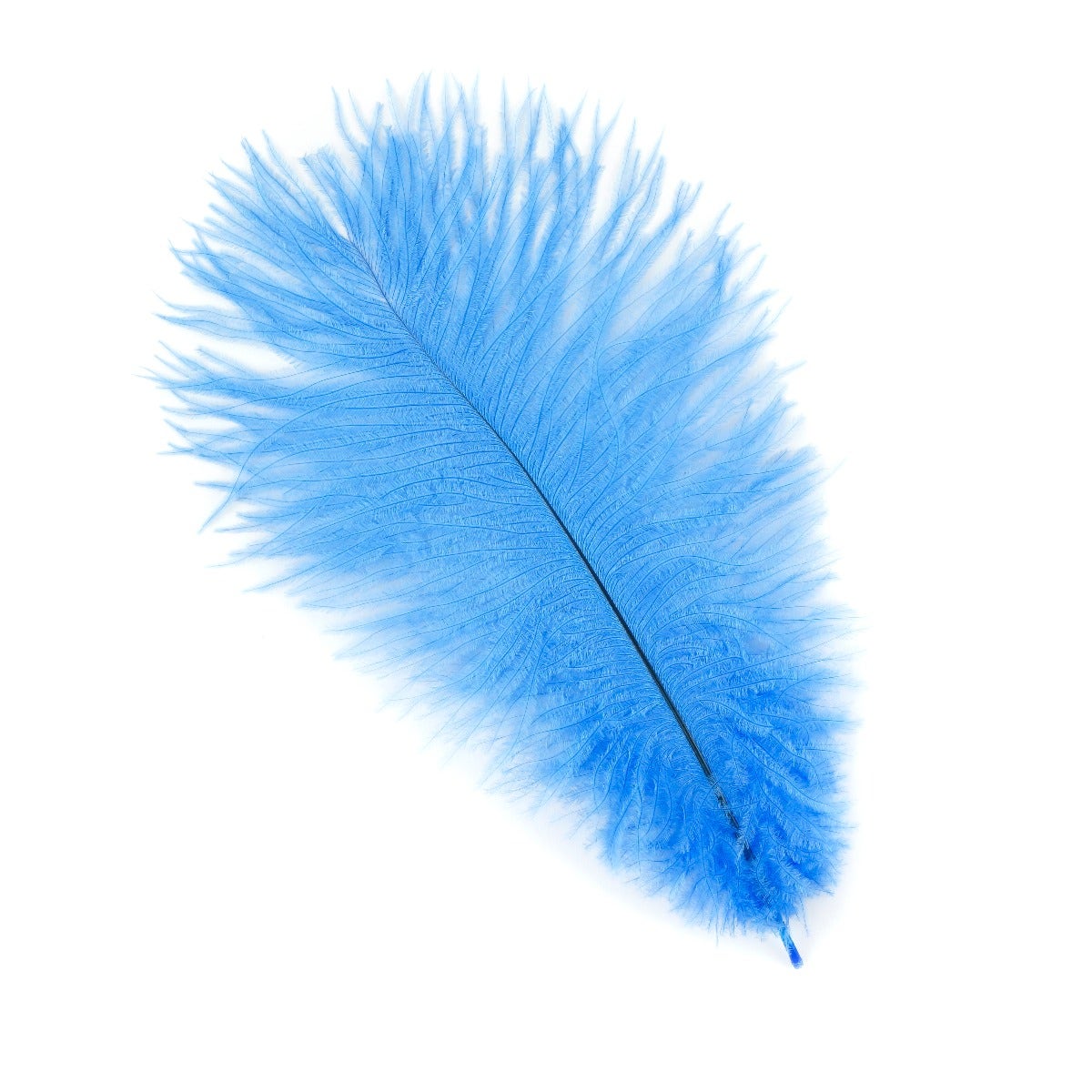 Ostrich Feathers 9-12" Drabs - Sky