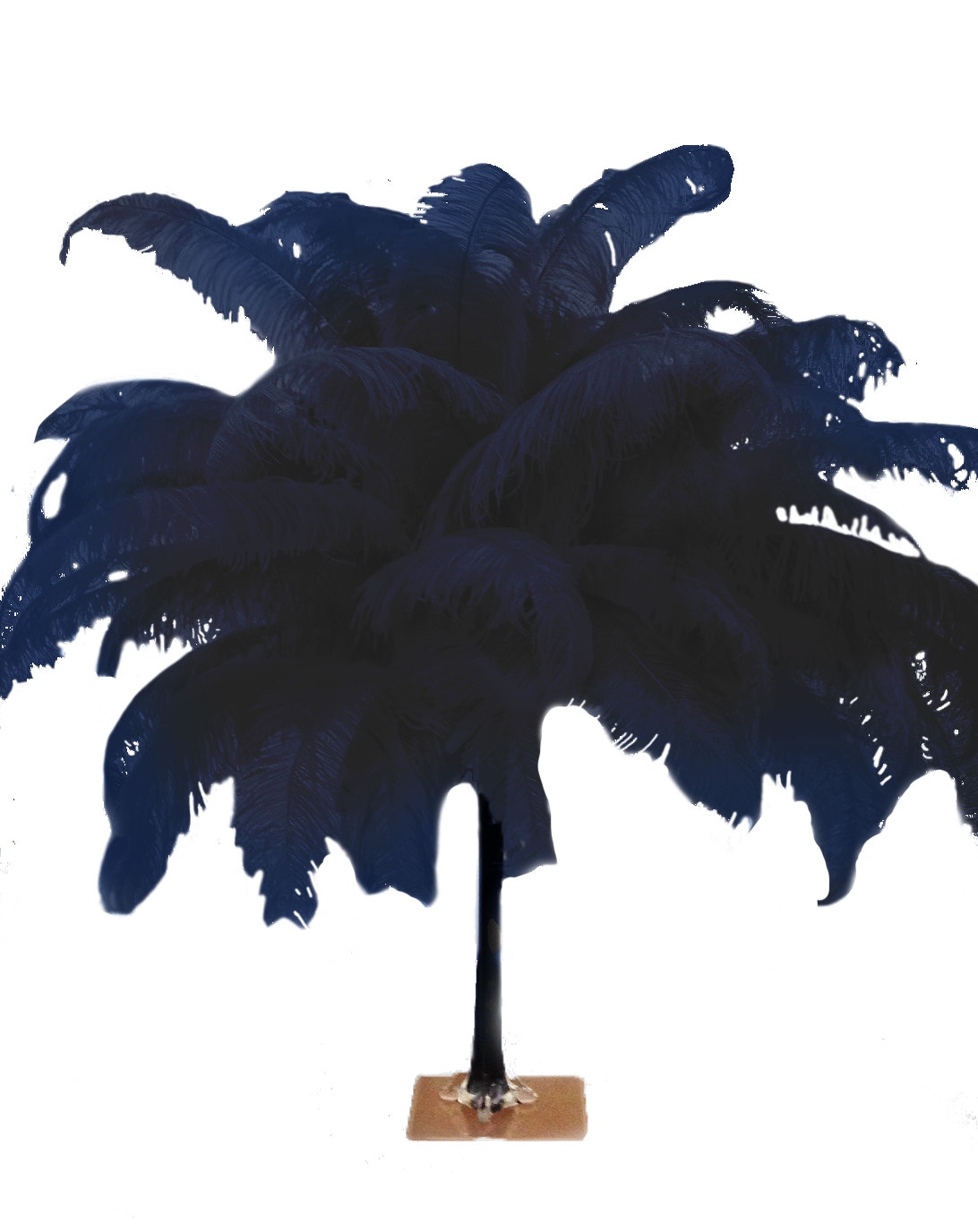 Large Ostrich Feathers - 18-24" Spads - Navy