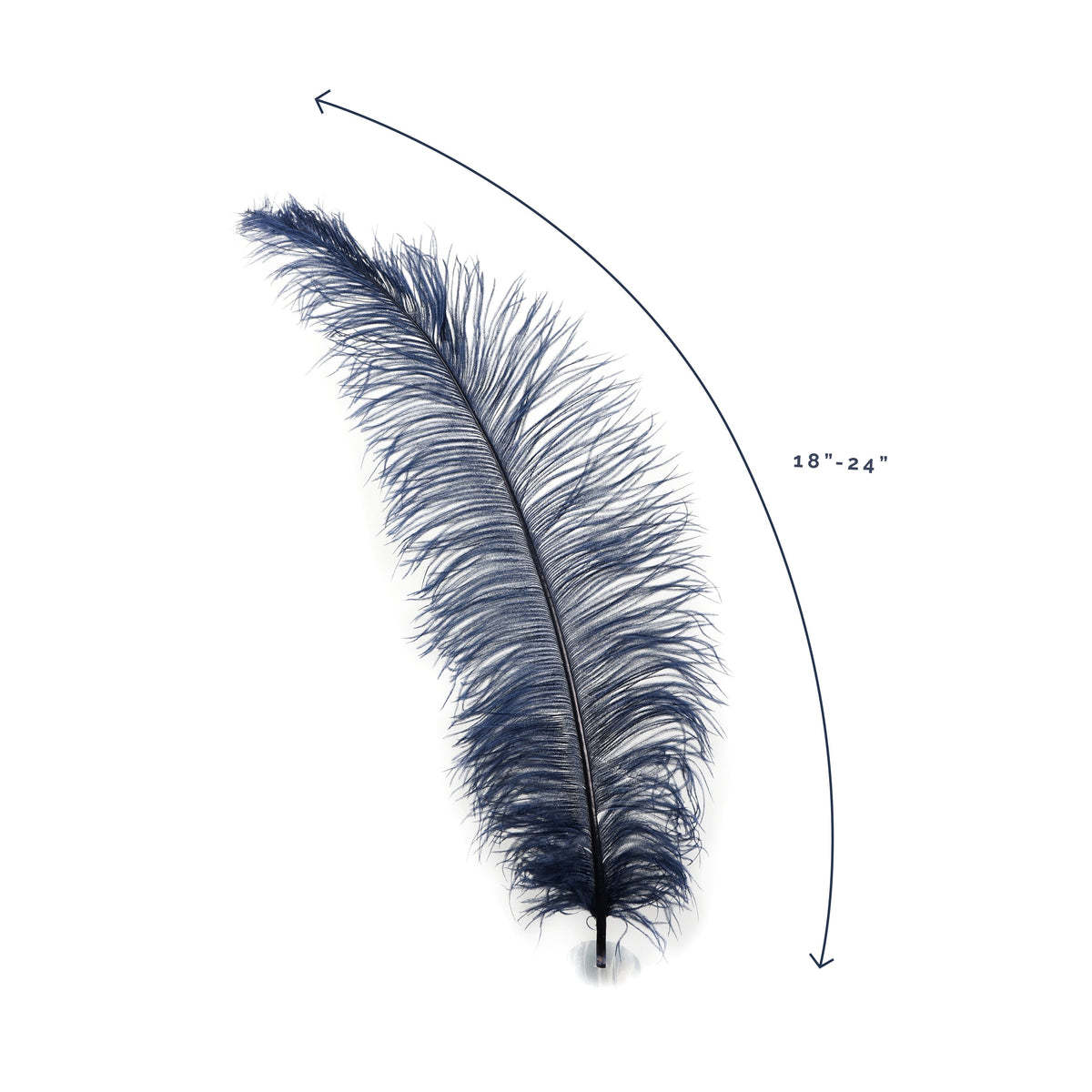 Large Ostrich Feathers - 18-24" Spads - Navy