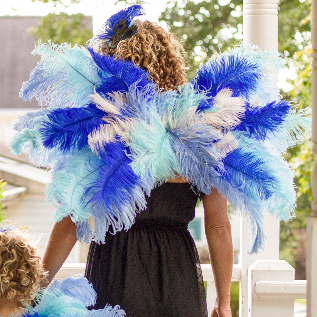 Small Bluebird Costume Wings