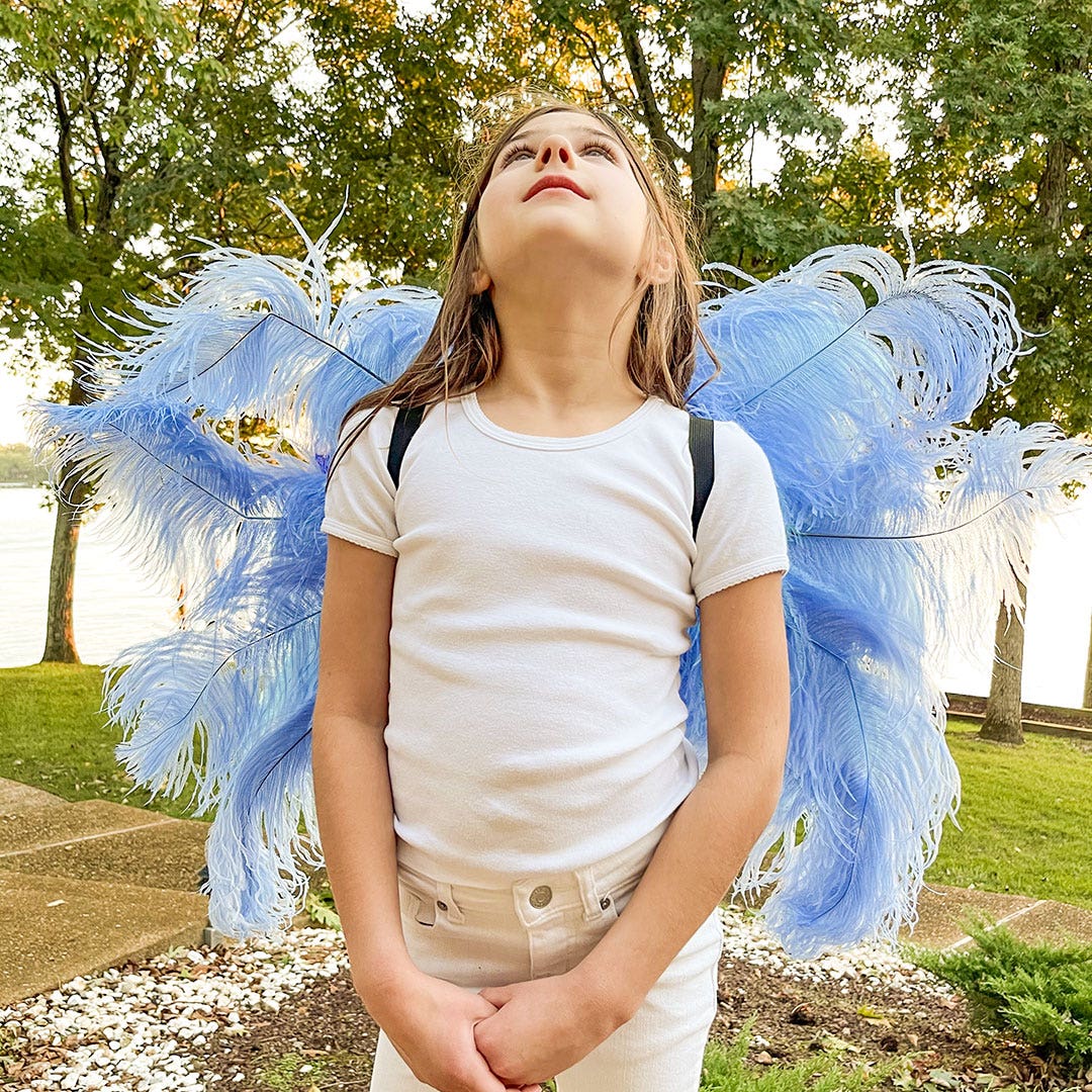 Extra Small Bluebird Costume Wings
