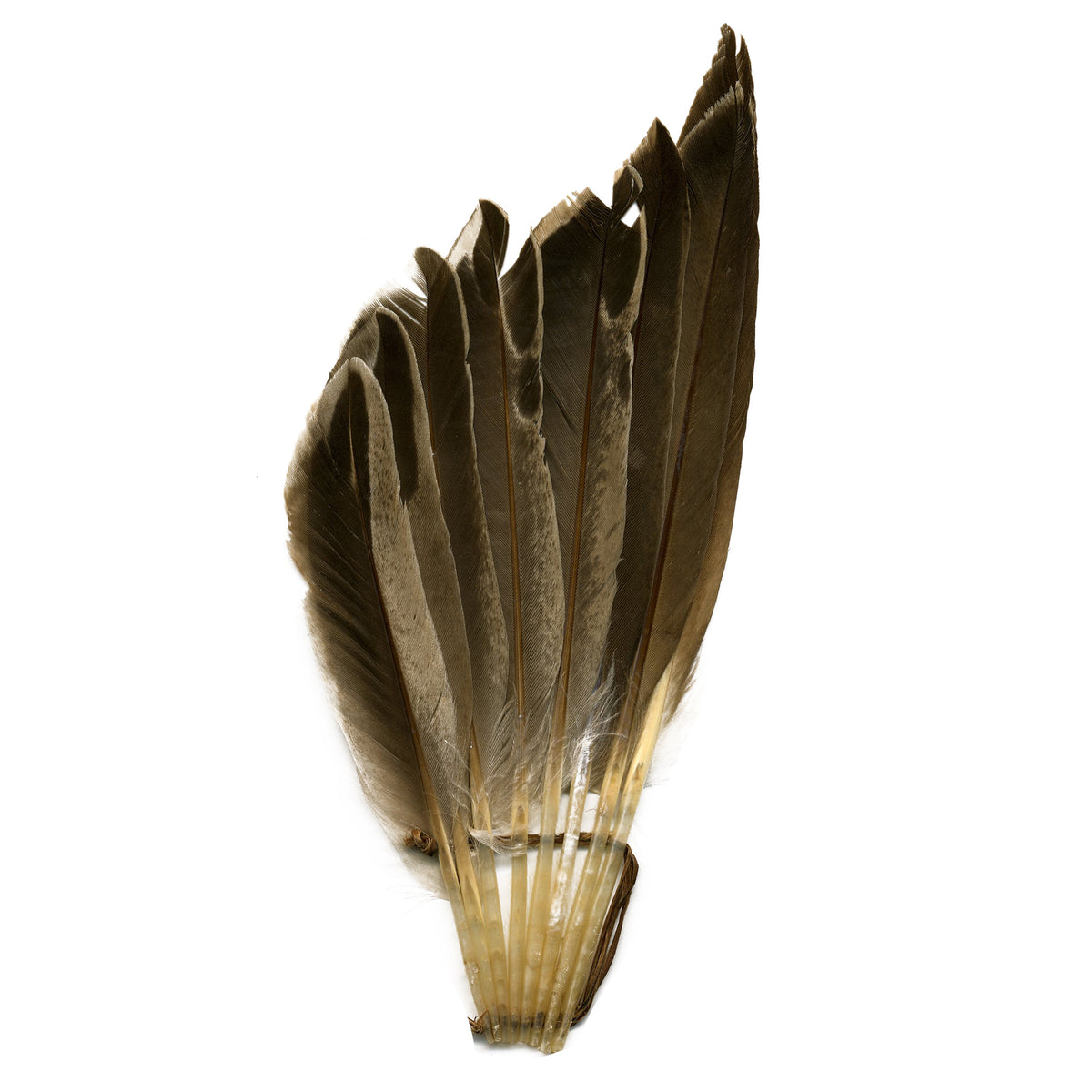 Duck Wing Fan Trim - Bronze