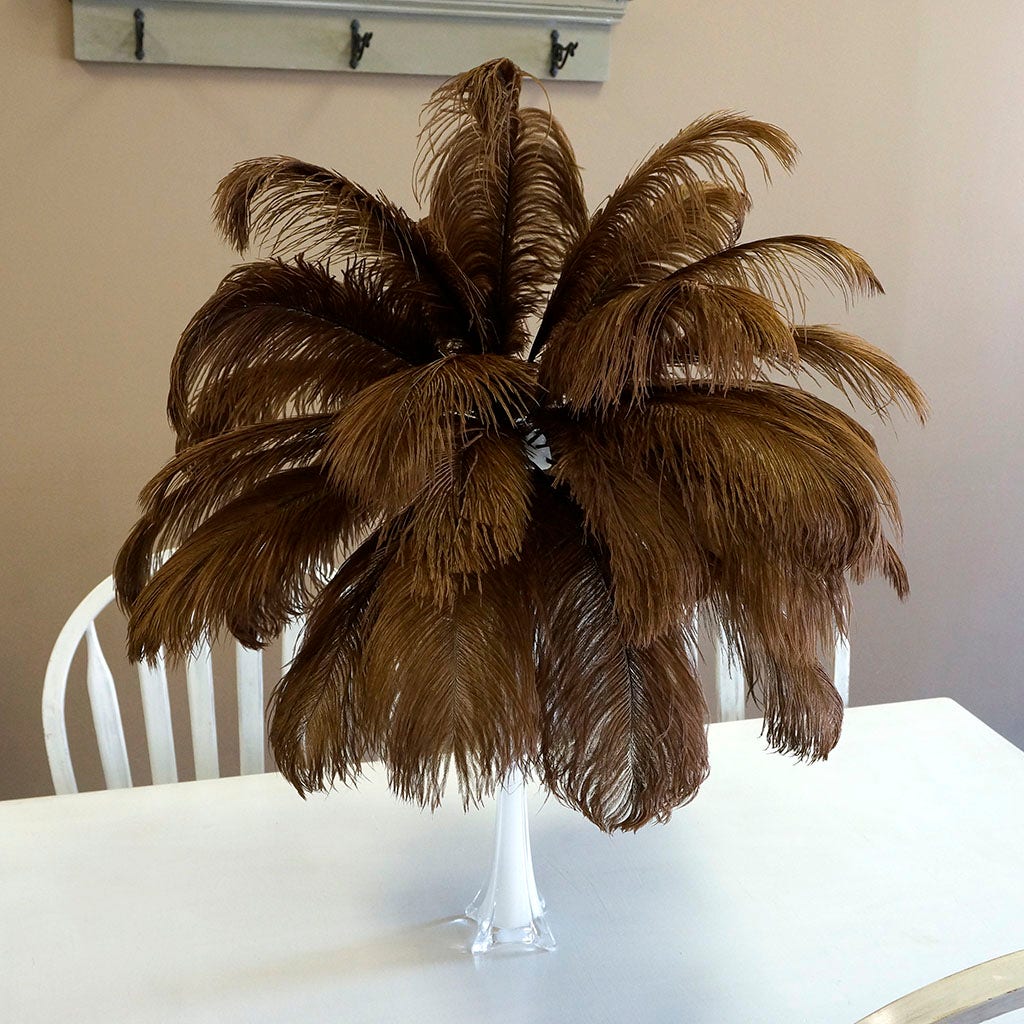 Large Ostrich Feathers - 17"+ Drabs - Brown