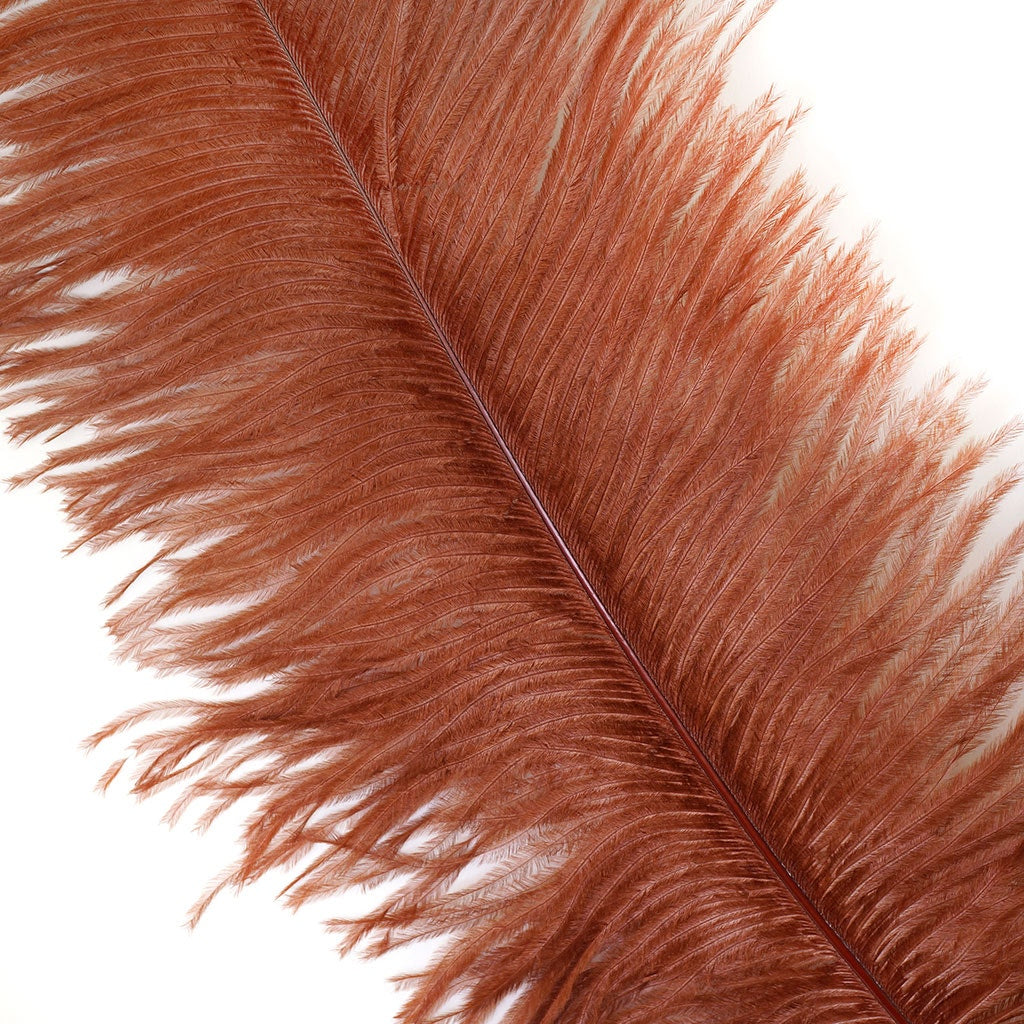 Ostrich Feathers 13-16" Drabs - Copper