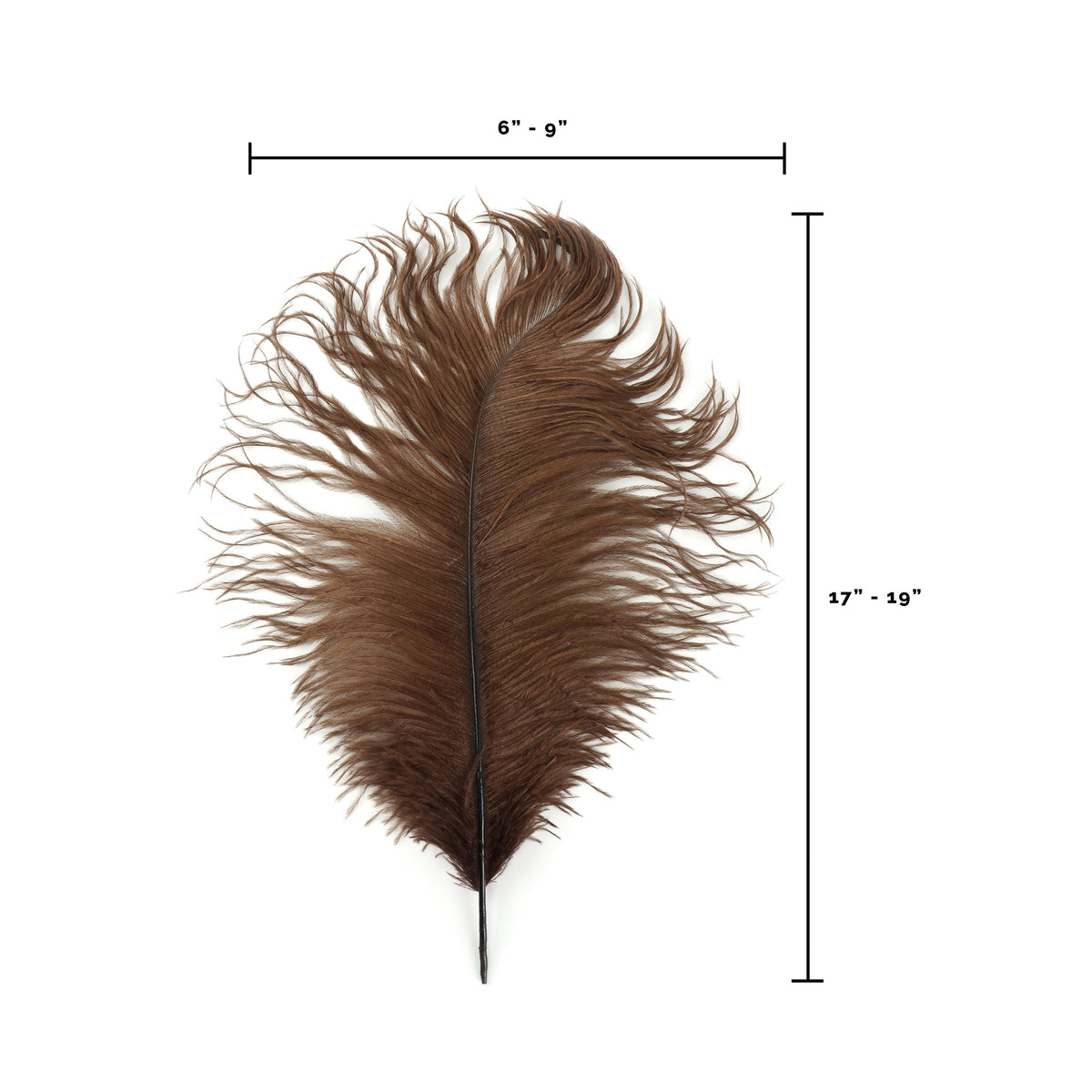 Large Ostrich Feathers - 17"+ Drabs - Brown