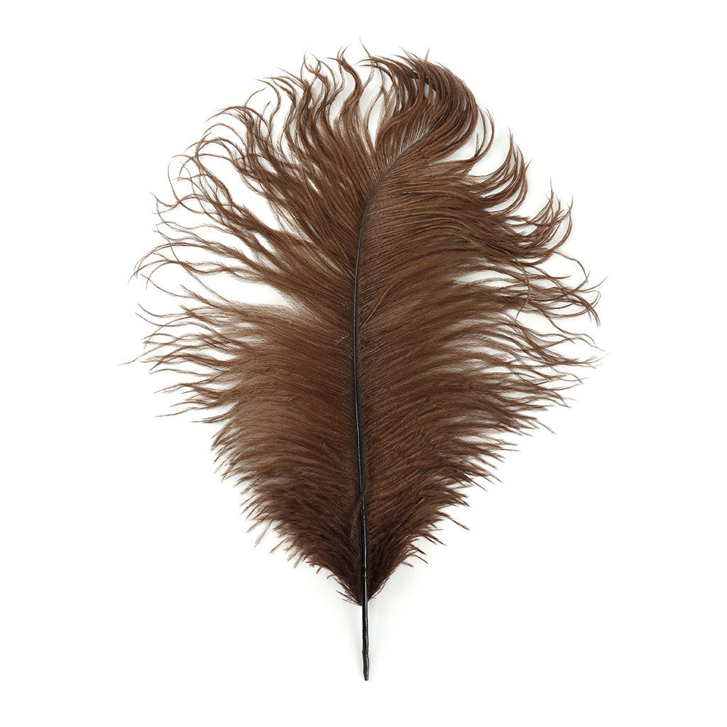 Large Ostrich Feathers - 17"+ Drabs - Brown