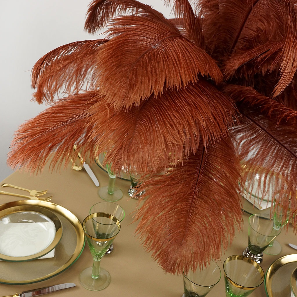 Large Ostrich Feathers - 17"+ Drabs - Copper
