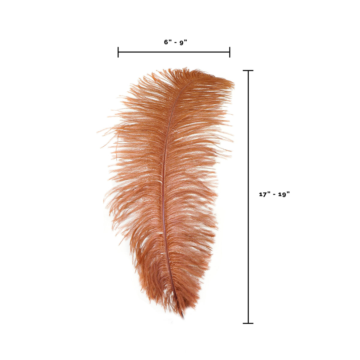 Large Ostrich Feathers - 17"+ Drabs - Copper