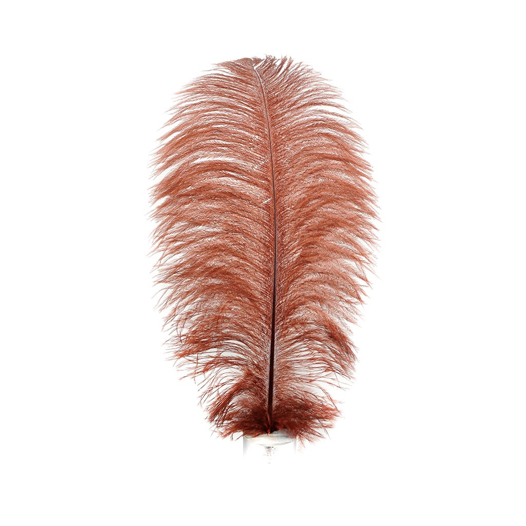 Large Ostrich Feathers - 17"+ Drabs - Copper