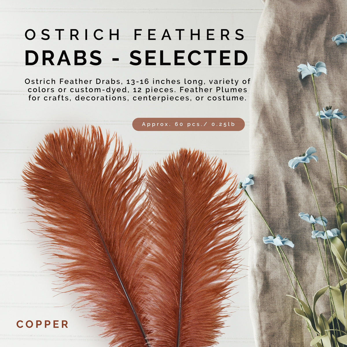 Ostrich Feathers 13-16" Drabs - Copper