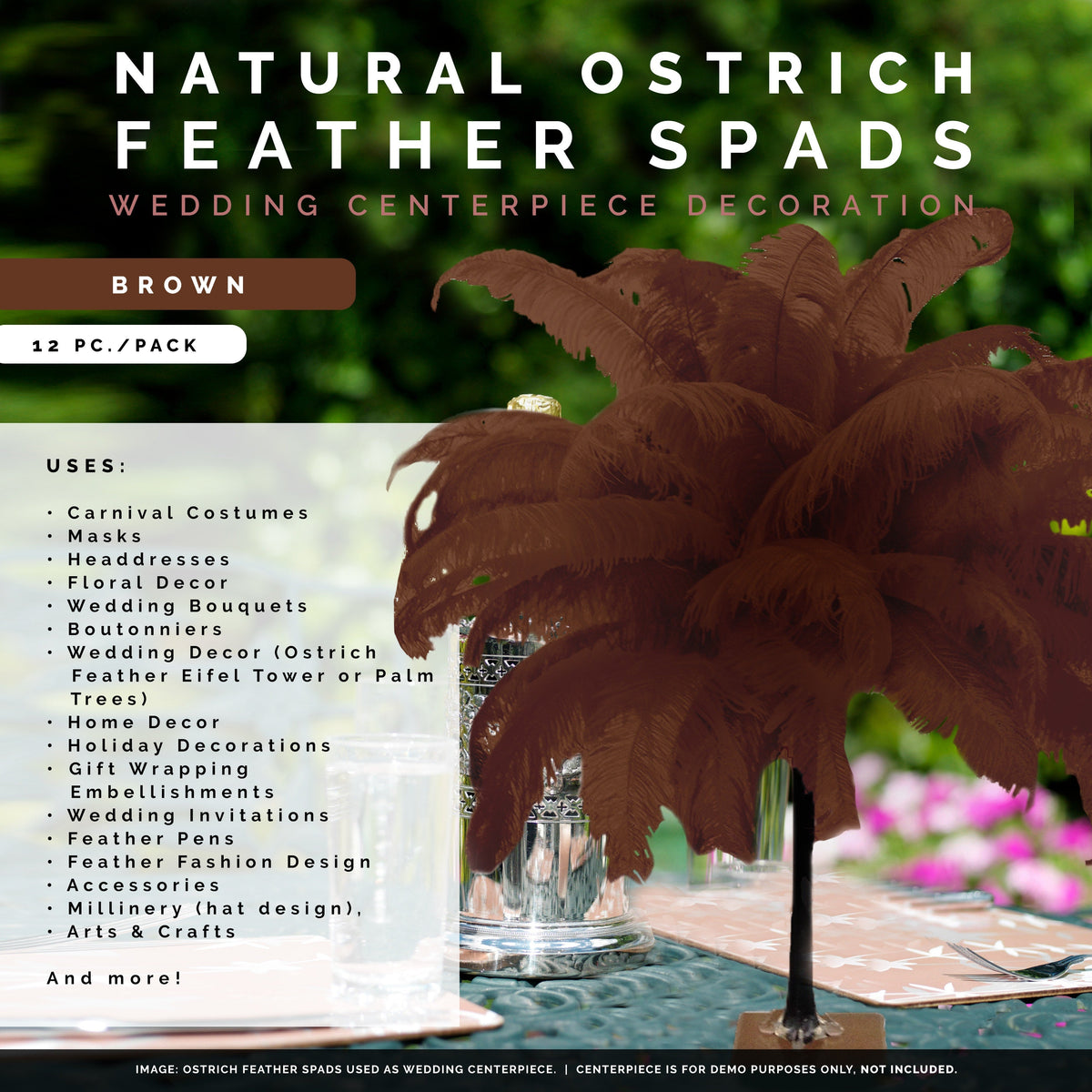 Large Ostrich Feathers - 18-24" Spads - Brown