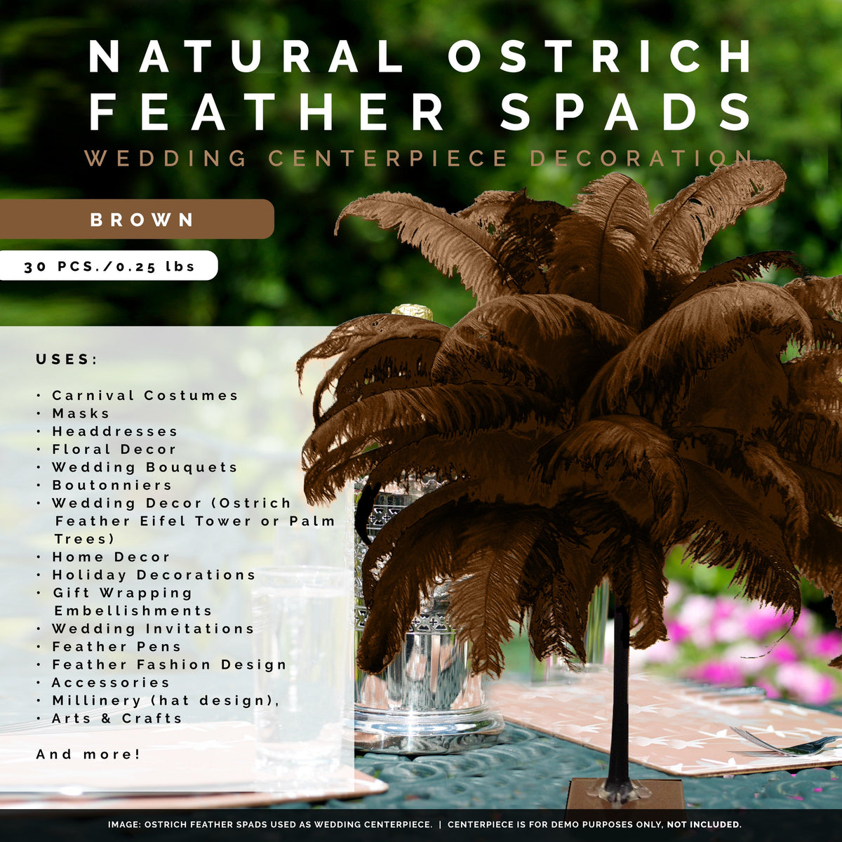 Large Ostrich Feathers - 18-24" Spads - Brown