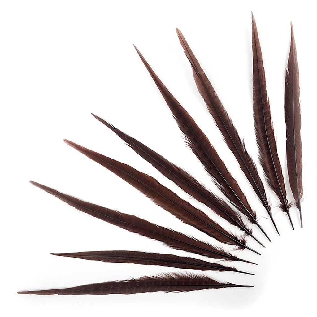 Bulk Assorted Pheasant Tails Dyed - Brown