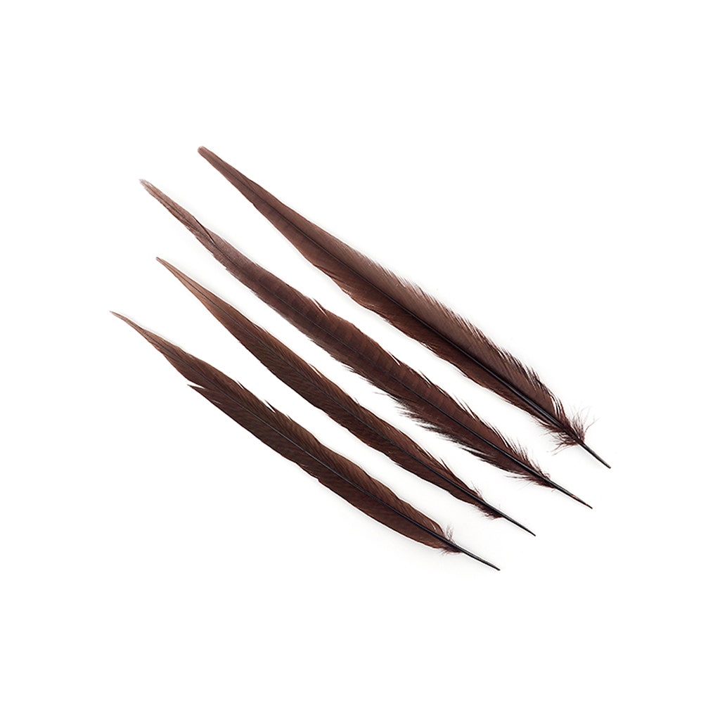 Bulk Assorted Pheasant Tails Dyed - Brown