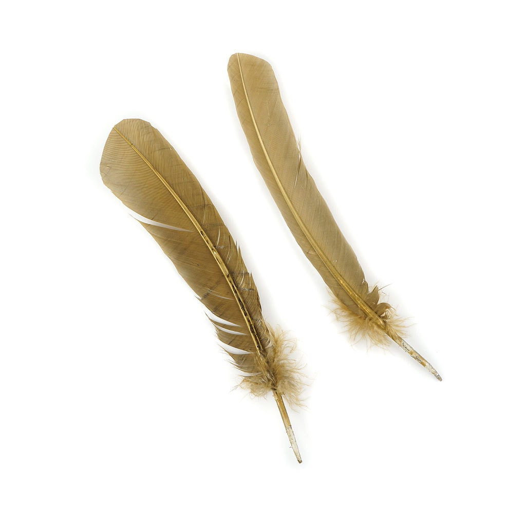 Bulk Turkey Quills by Pound - Right Wing - Camel