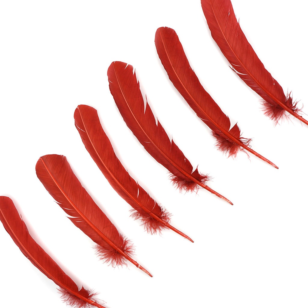 Bulk Turkey Quills by Pound - Right Wing - Rust