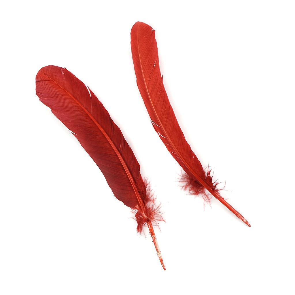 Bulk Turkey Quills by Pound - Right Wing - Rust