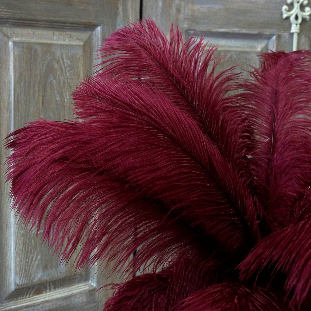 Large Ostrich Feathers - 17"+ Drabs - Burgundy