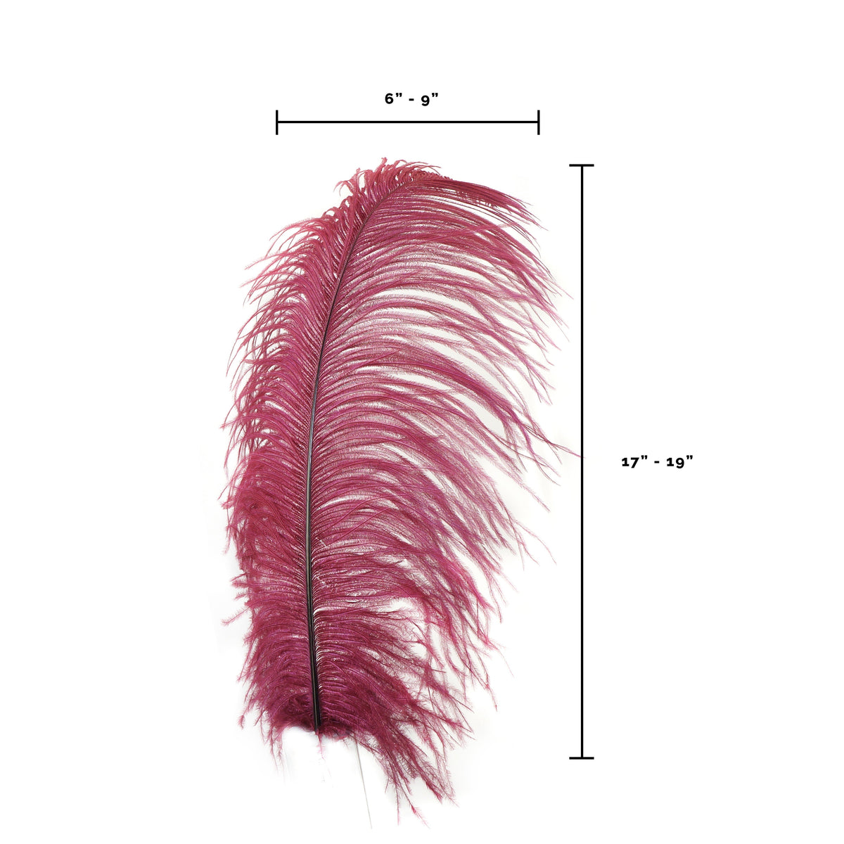 Large Ostrich Feathers - 17"+ Drabs - Burgundy