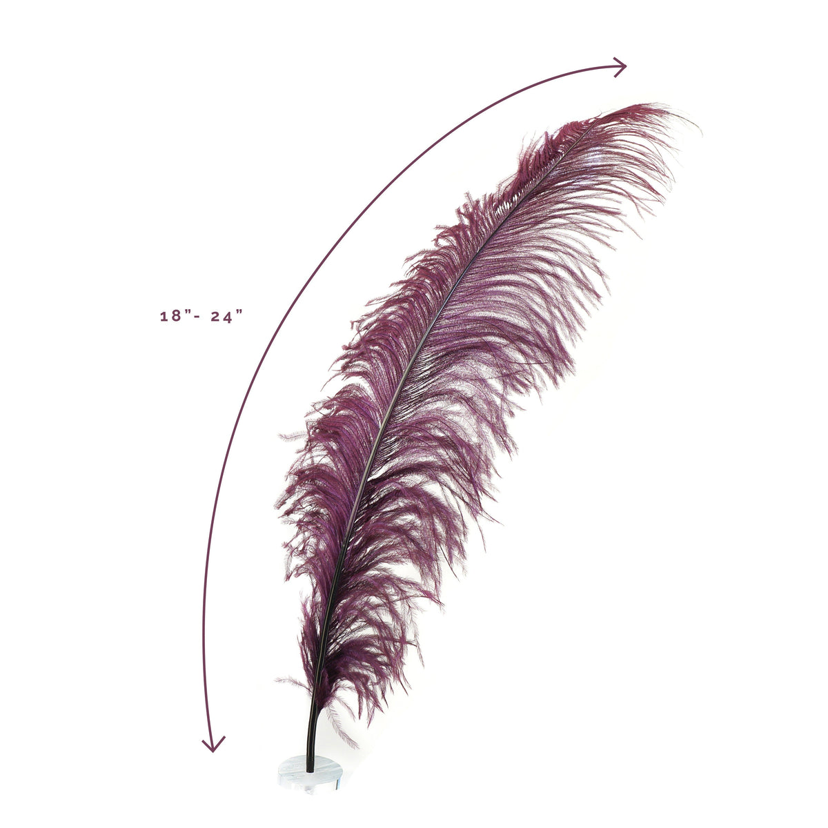 Large Ostrich Feathers - 18-24" Spads - Burgundy