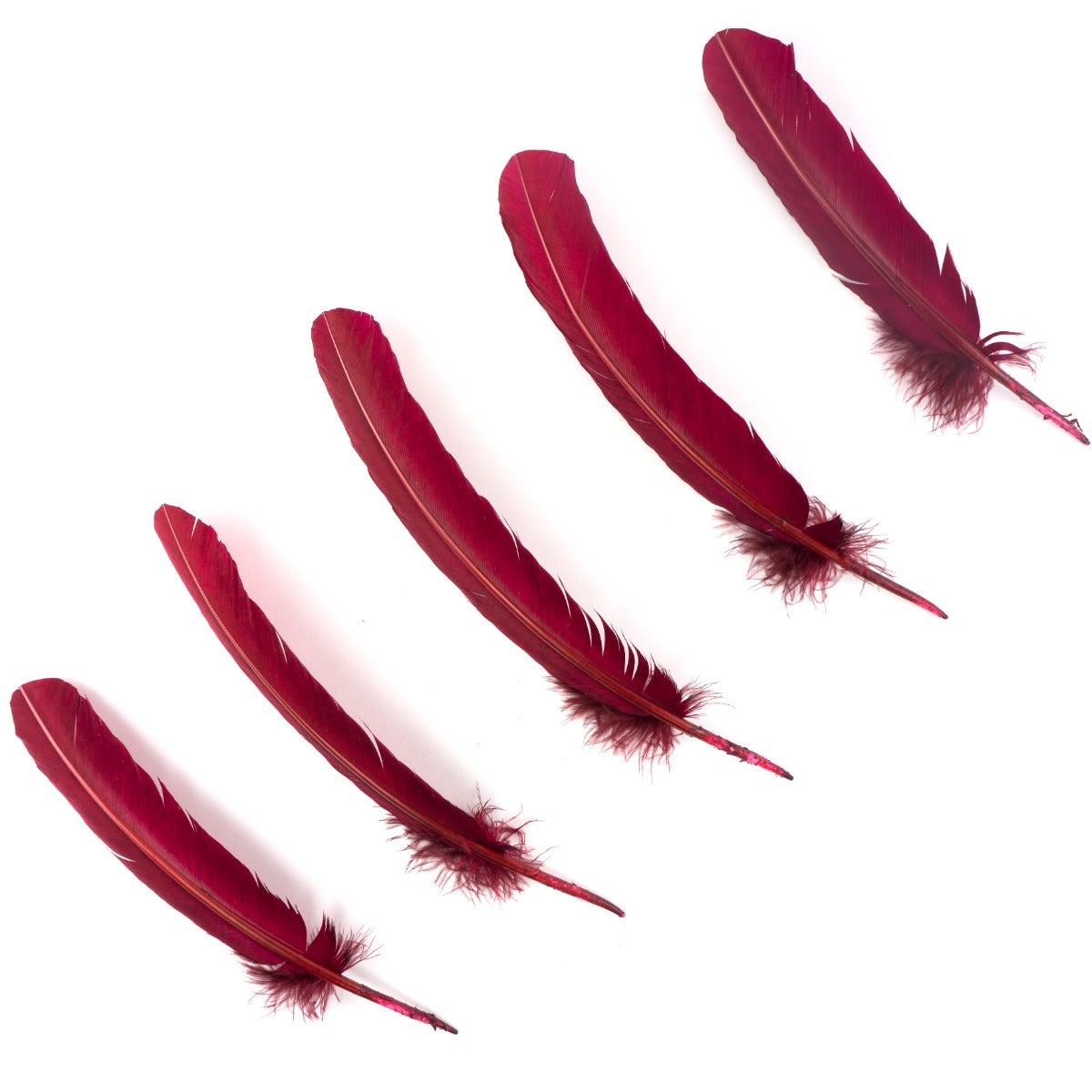 Turkey Quills Selected - Burgundy