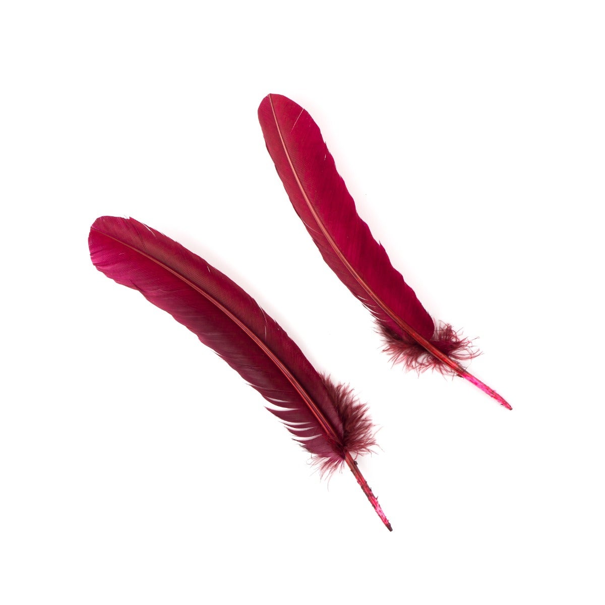 Turkey Quills Selected - Burgundy