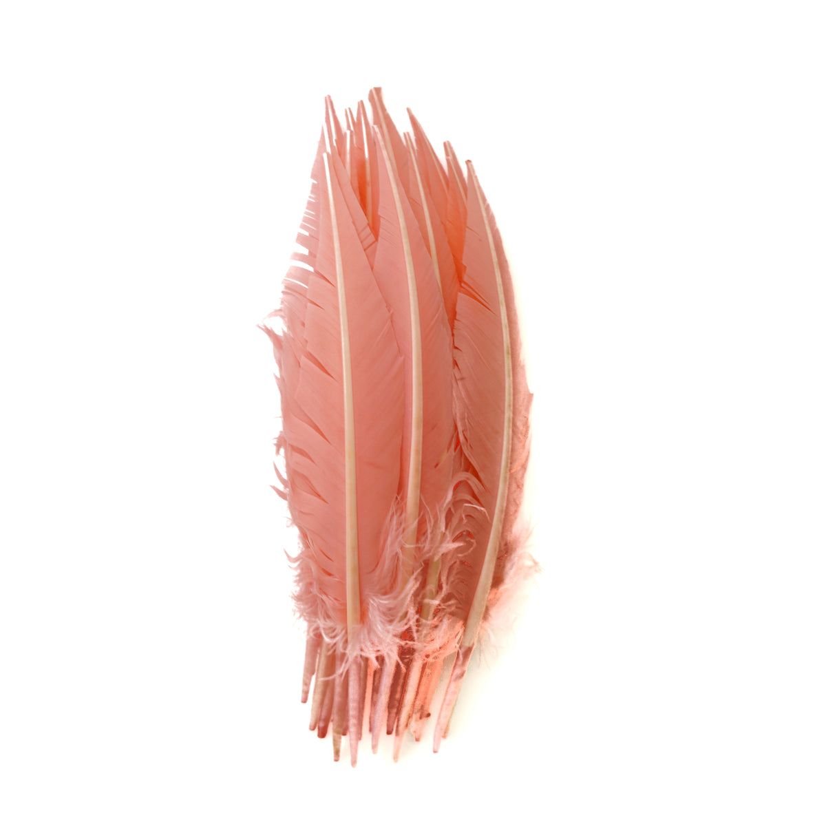 Candy Pink Dagger Turkey Quill Feathers 9-12"